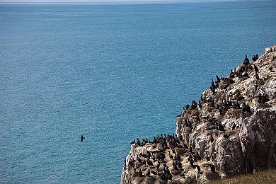 KK对战平台一大波年末爆款好图来袭！次元少女与你并肩作战！